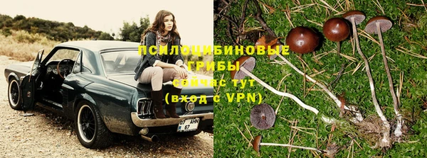 таблы Гусиноозёрск