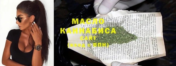 гидра Гусев