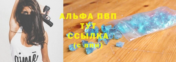 гидра Гусев