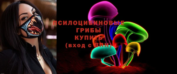 гидра Гусев