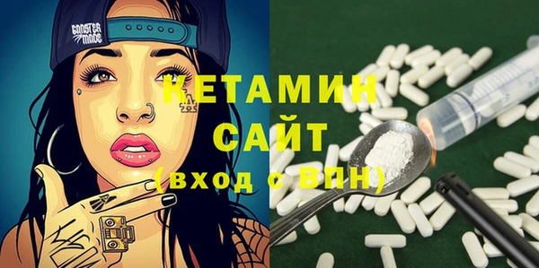гидра Гусев