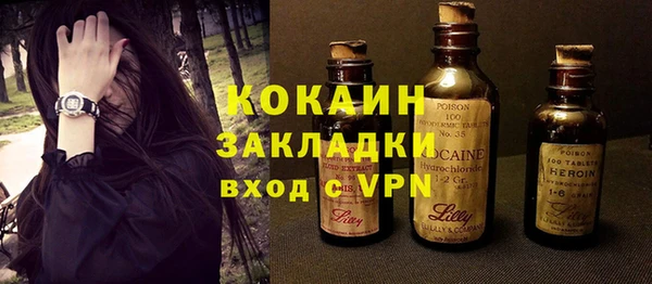 гидра Гусев