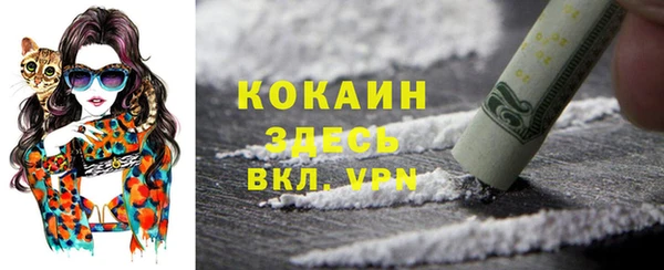 гидра Гусев