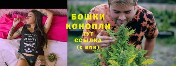 гидра Гусев