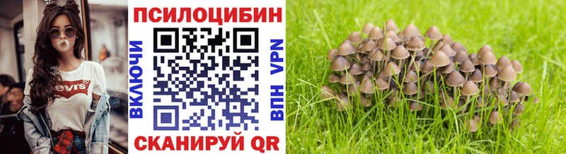 Купить где  Иваново  Псилоцибиновые грибы ЛСД 